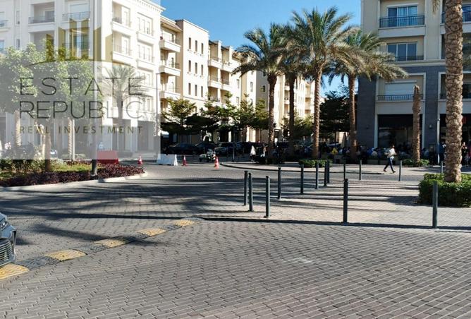 8537946 - Property Image 3