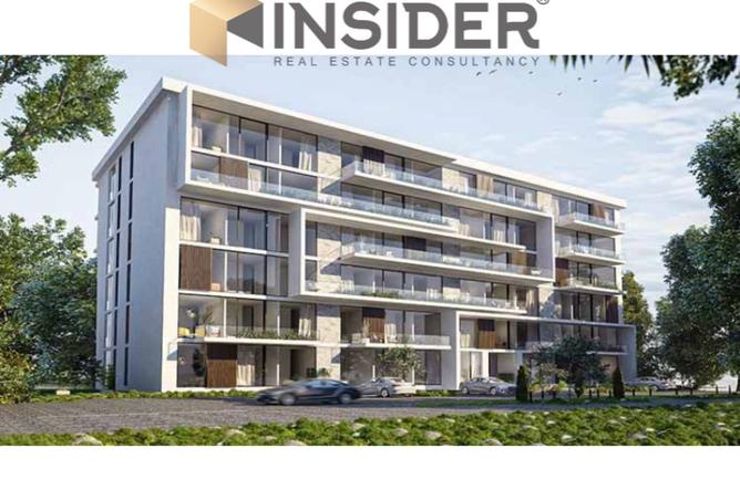 8333217 - صورة العقار 3