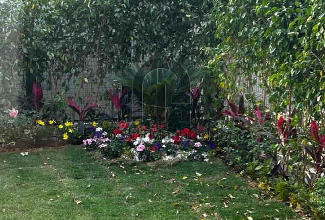 8538149 - صورة العقار 2