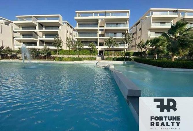 8390519 - Property Image 3