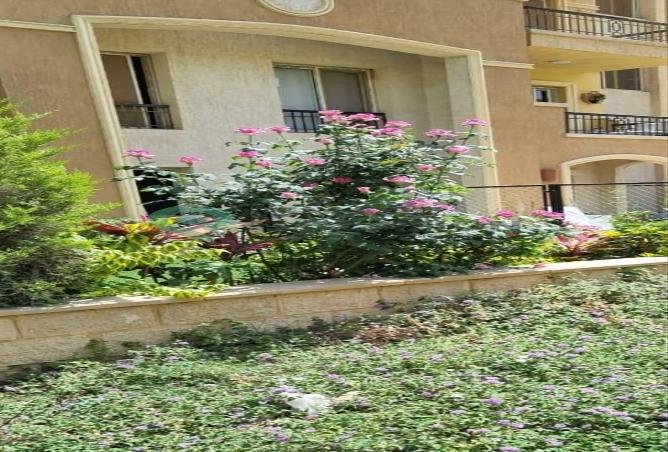 8462481 - صورة العقار 2