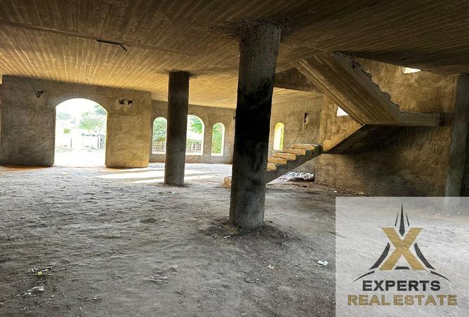 7984681 - صورة العقار 3