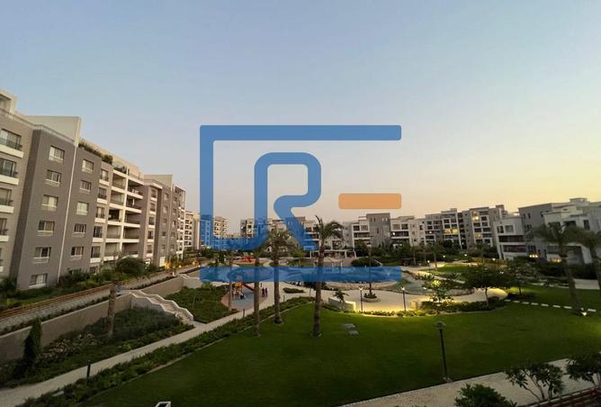 8016741 - صورة العقار 3