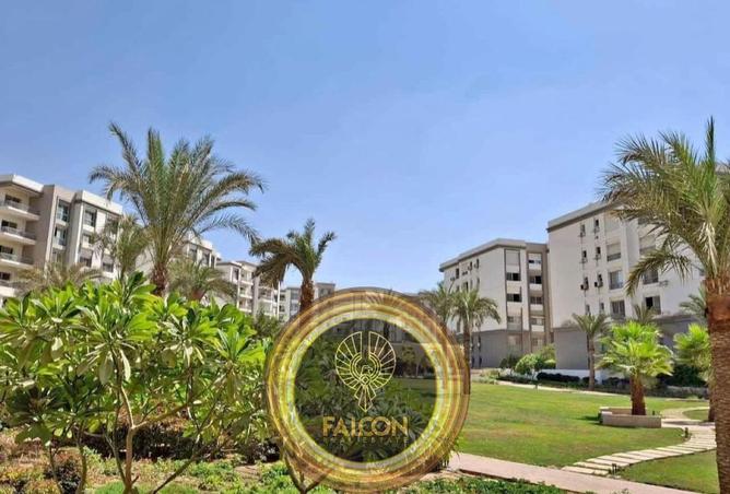 8082935 - Property Image 3
