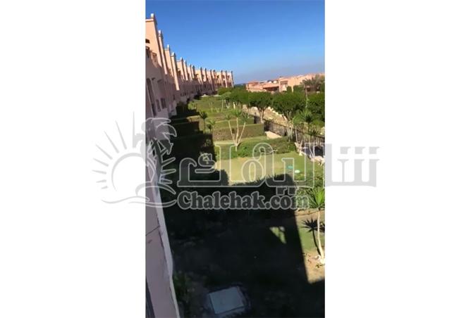 7934861 - صورة العقار 3
