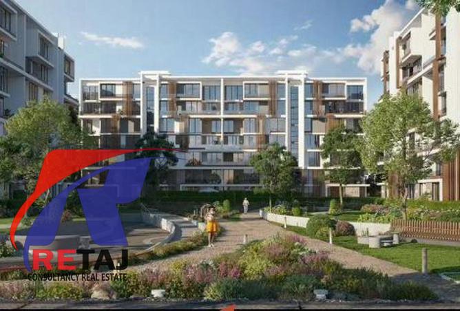 8097326 - Property Image 3