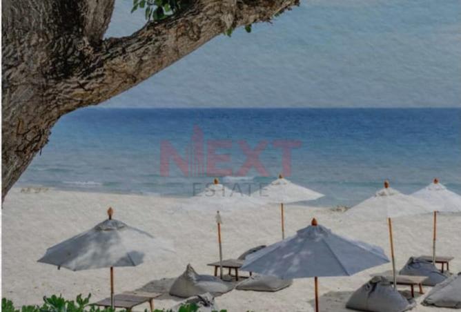 8407466 - صورة العقار 3