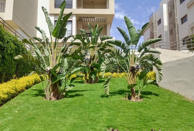 7963884 - صورة العقار 2