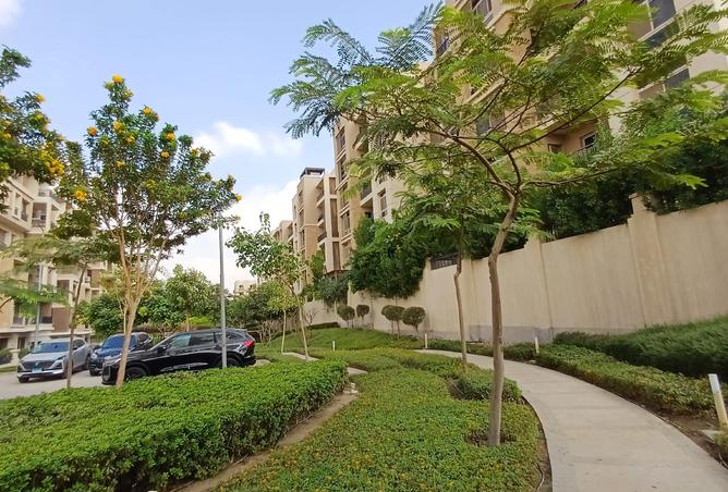 8251242 - Property Image 3