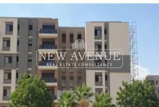 8129964 - Property Image 3
