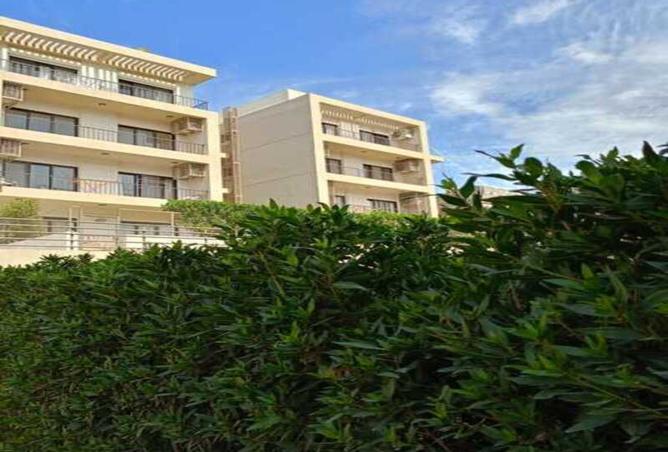 8169821 - Property Image 3