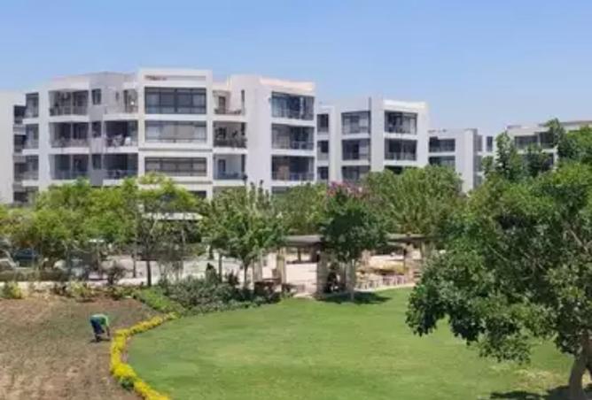 8268239 - صورة العقار 2