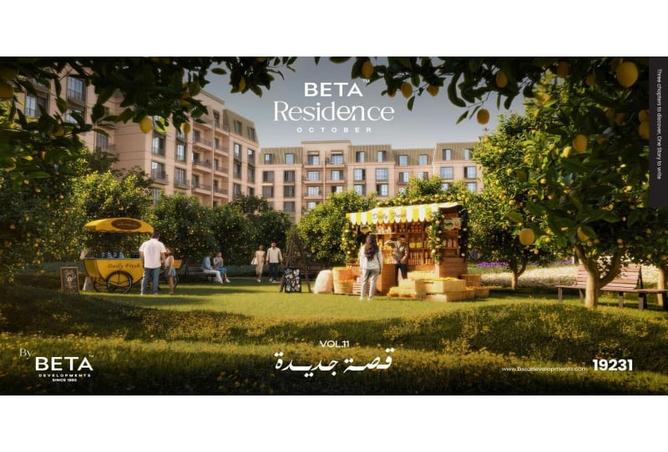 8501202 - صورة العقار 2