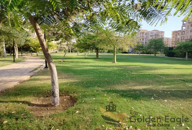 7965301 - صورة العقار 3