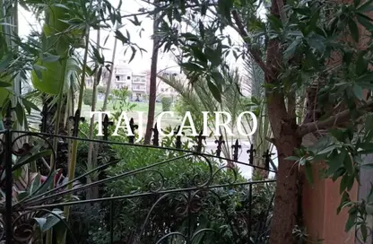 Apartment - 3 Bedrooms - 1 Bathroom for rent in Orouba Axis - Area A - Ganoob El Acadimia - New Cairo City - Cairo