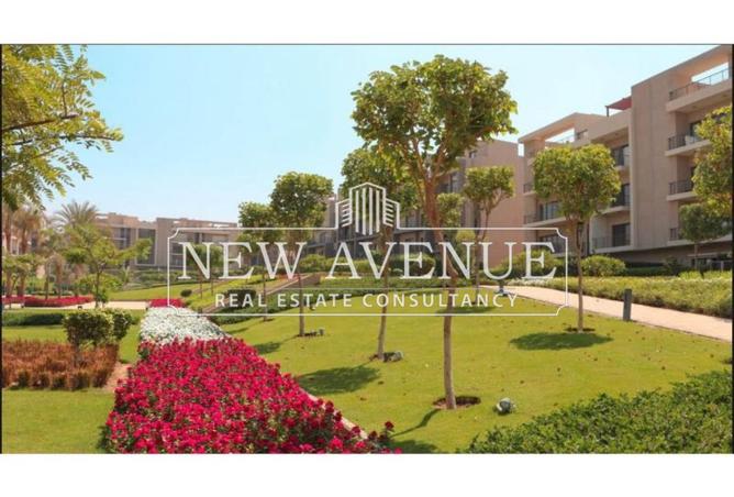 8155052 - صورة العقار 3