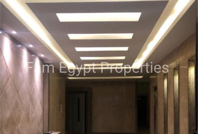 8205253 - Property Image 3