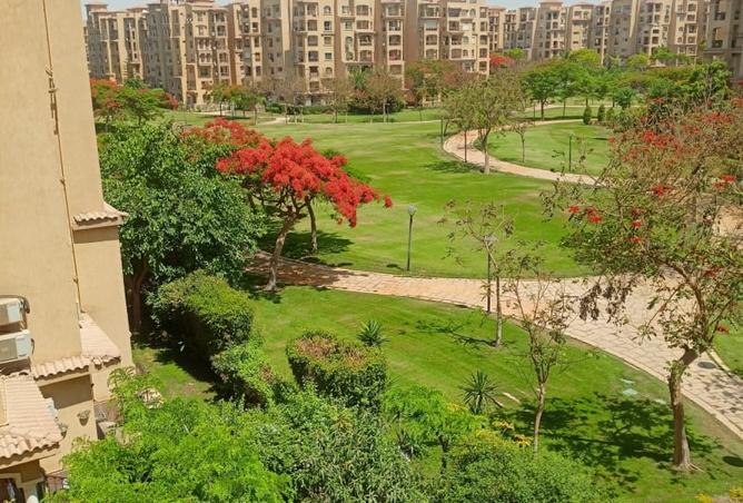 8263873 - الصورة الرئيسية للعقار