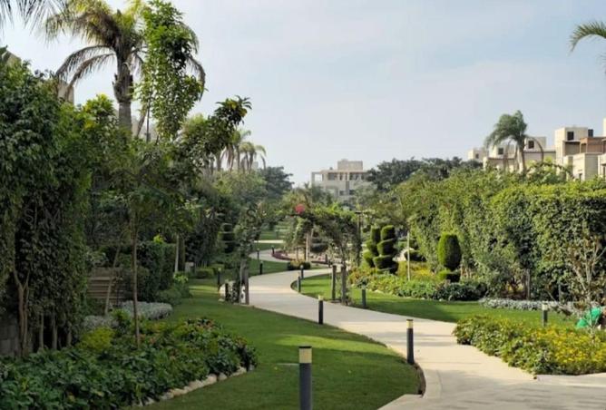 7960743 - صورة العقار 3