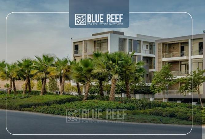 8271043 - Property Image 3