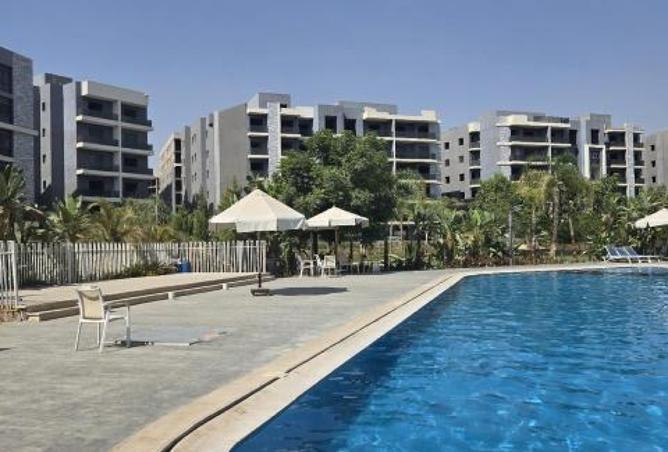 8307281 - Property Image 3