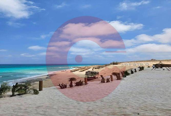 8248166 - صورة العقار 2