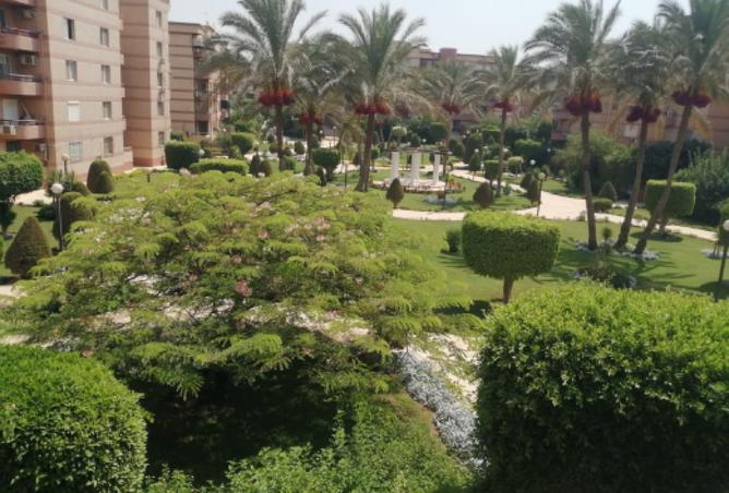 8488834 - Property Image 3