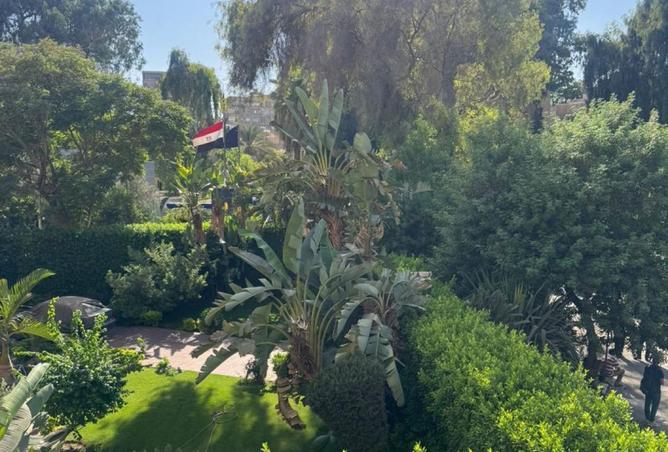 8358881 - صورة العقار 3