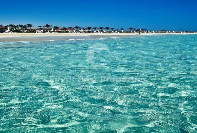 8426930 - Property Image 3