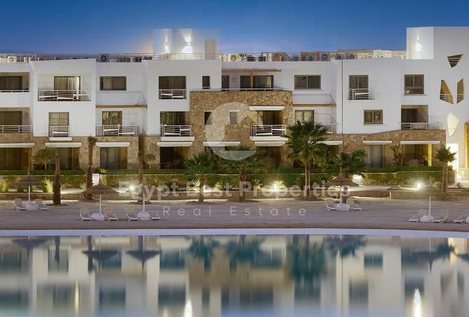 8202484 - Property Image 3