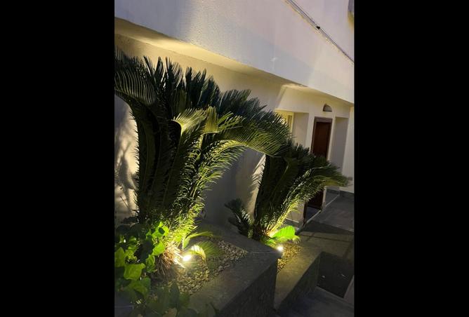 8231488 - صورة العقار 3