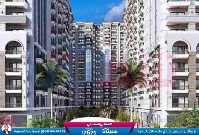 8386207 - Property Image 3