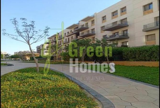 8258045 - Property Image 2