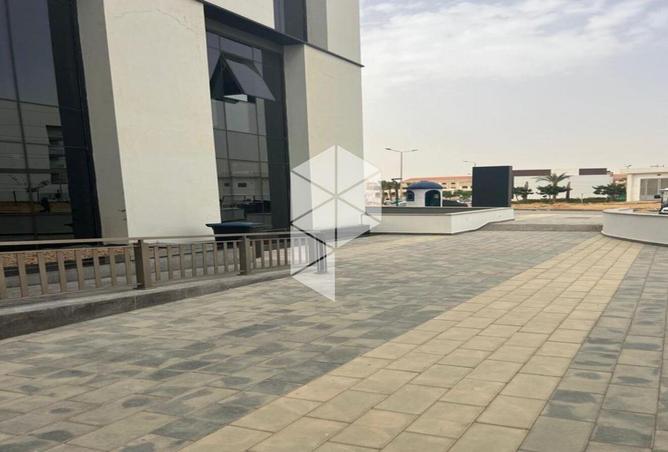 8387843 - Property Image 2