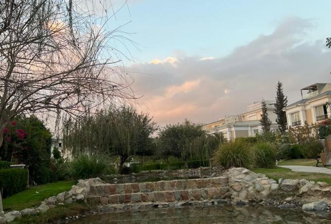 8555525 - Property Image 3