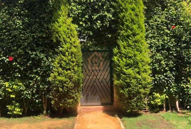 8256405 - صورة العقار 3