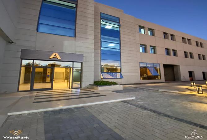 7975207 - Property Image 3