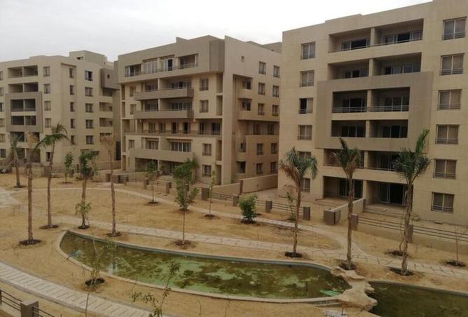 8045394 - Property Image 3