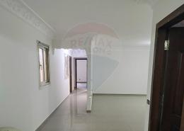 Apartment - 3 bedrooms for للايجار in Tout Ankh Amoun St. - Smouha - Hay Sharq - Alexandria