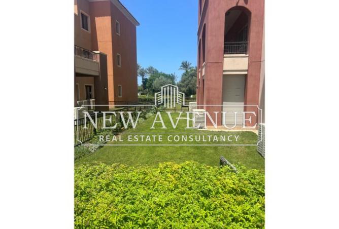 8119646 - Property Main Image