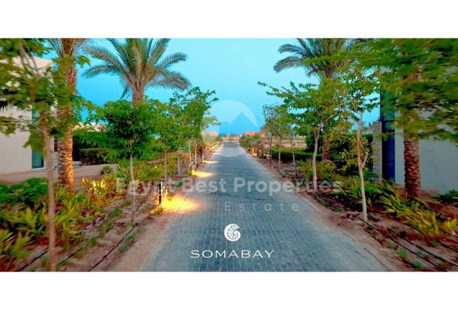 8093575 - Property Image 3