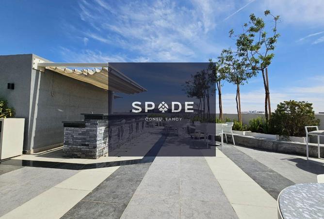 8504368 - Property Image 3