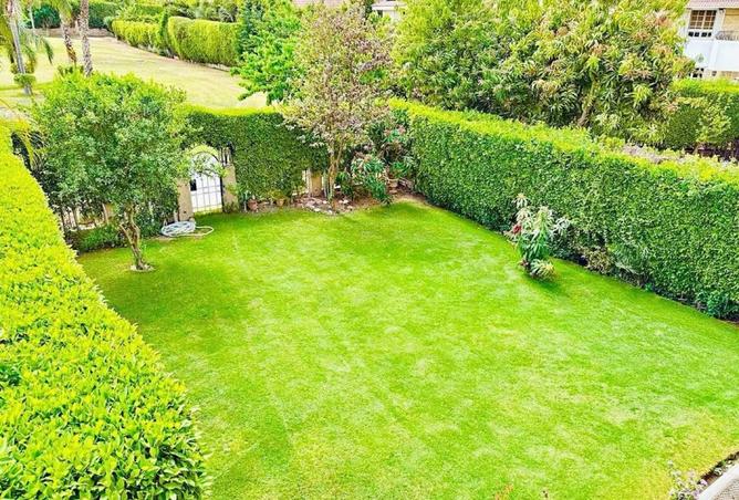 8149139 - صورة العقار 3