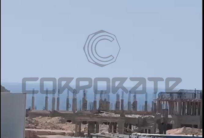 8157417 - Property Image 3