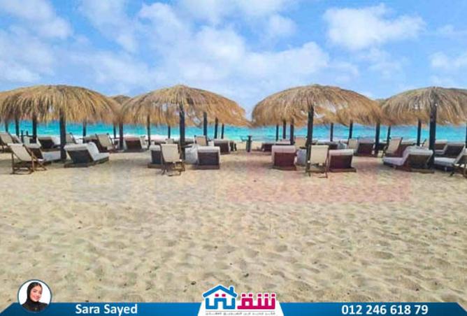 8212731 - Property Image 2