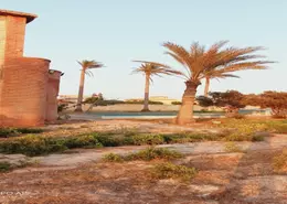 Land - Studio for sale in International Coastal Road - Hay Gharb - Alexandria