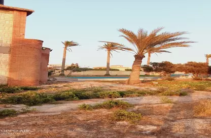Land - Studio for sale in International Coastal Road - Hay Gharb - Alexandria