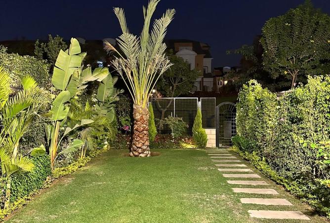 8025594 - Property Image 3