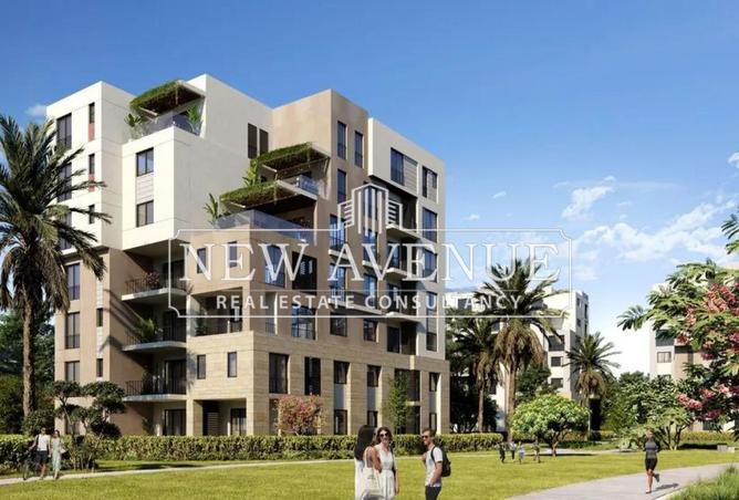 8100794 - Property Image 3