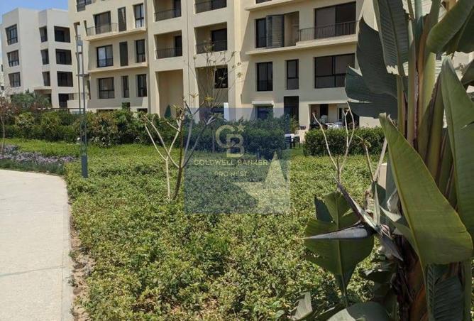 7906682 - Property Image 3
